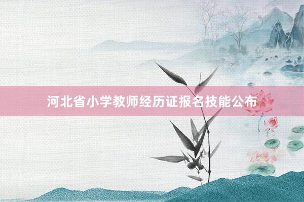 河北省小学教师经历证报名技能公布