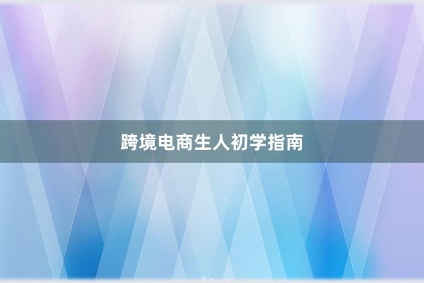 跨境电商生人初学指南