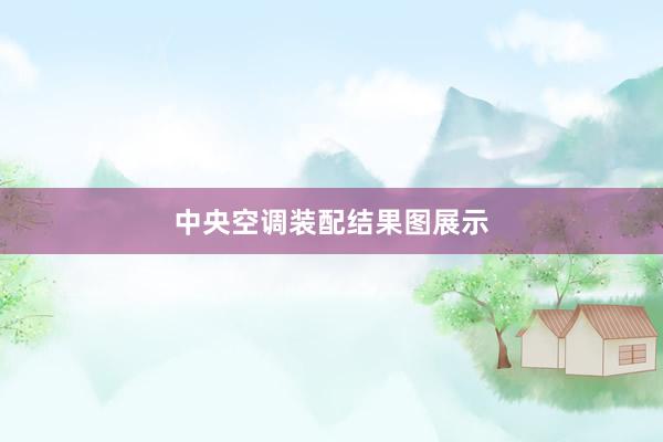 中央空调装配结果图展示
