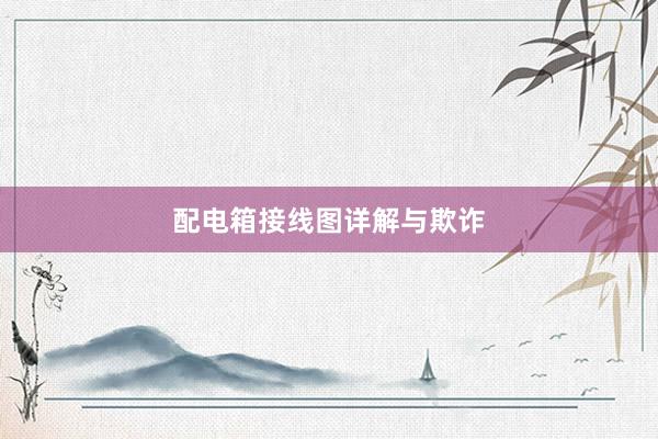 配电箱接线图详解与欺诈