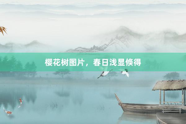 樱花树图片，春日浅显倏得