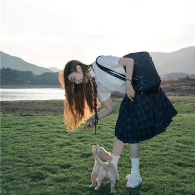 今晚不要让我们去打狗